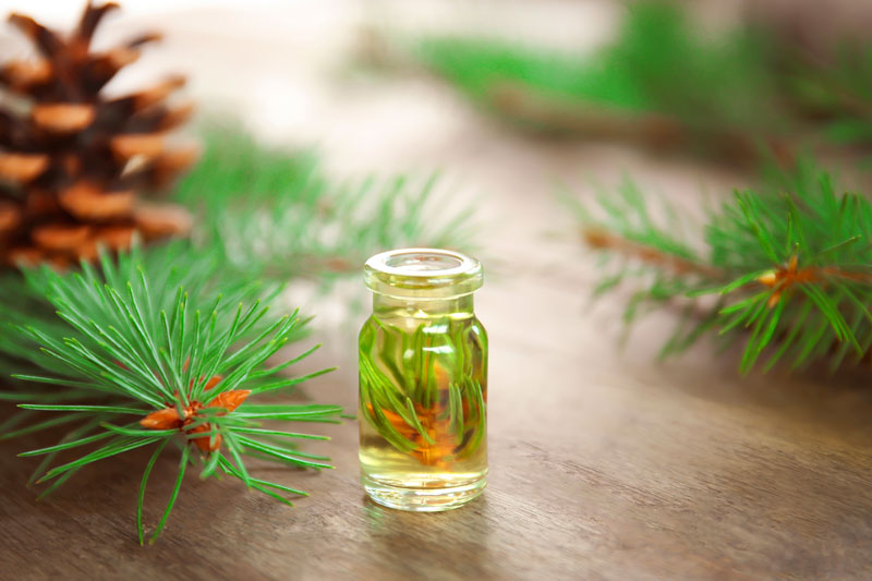Salute sempre e..... successo con la Natura...DoloMitika.