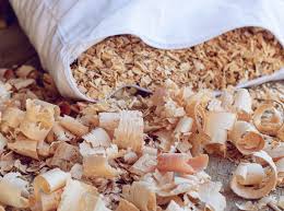 Conosci il Cirmolo, il "Zìrum"?