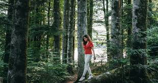 Ricercatori Giapponesi affermano che camminare nei boschi di conifere...