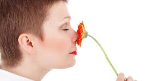 Aroma del Cirmolo, il profumo della natura.